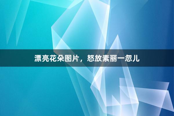 漂亮花朵图片，怒放素丽一忽儿