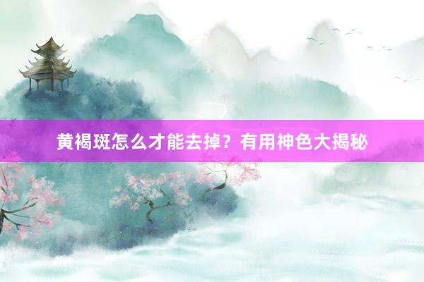 黄褐斑怎么才能去掉?有用神色大揭秘